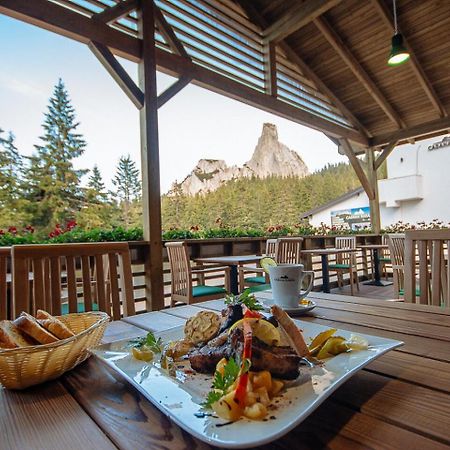 Hotel Alpin Rarau Câmpulung Moldovenesc エクステリア 写真